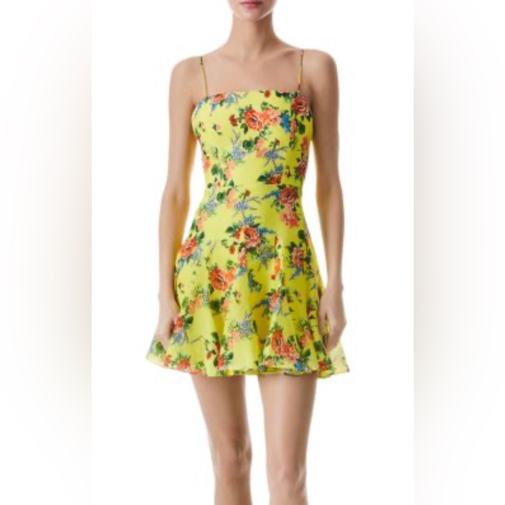 Alice + Olivia Ginny Floral Dress